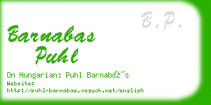 barnabas puhl business card